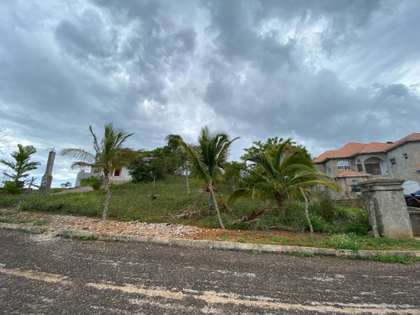 Fourth image of Knockpatrick in Knockpatrick, Manchester, Jamaica - property is For Sale