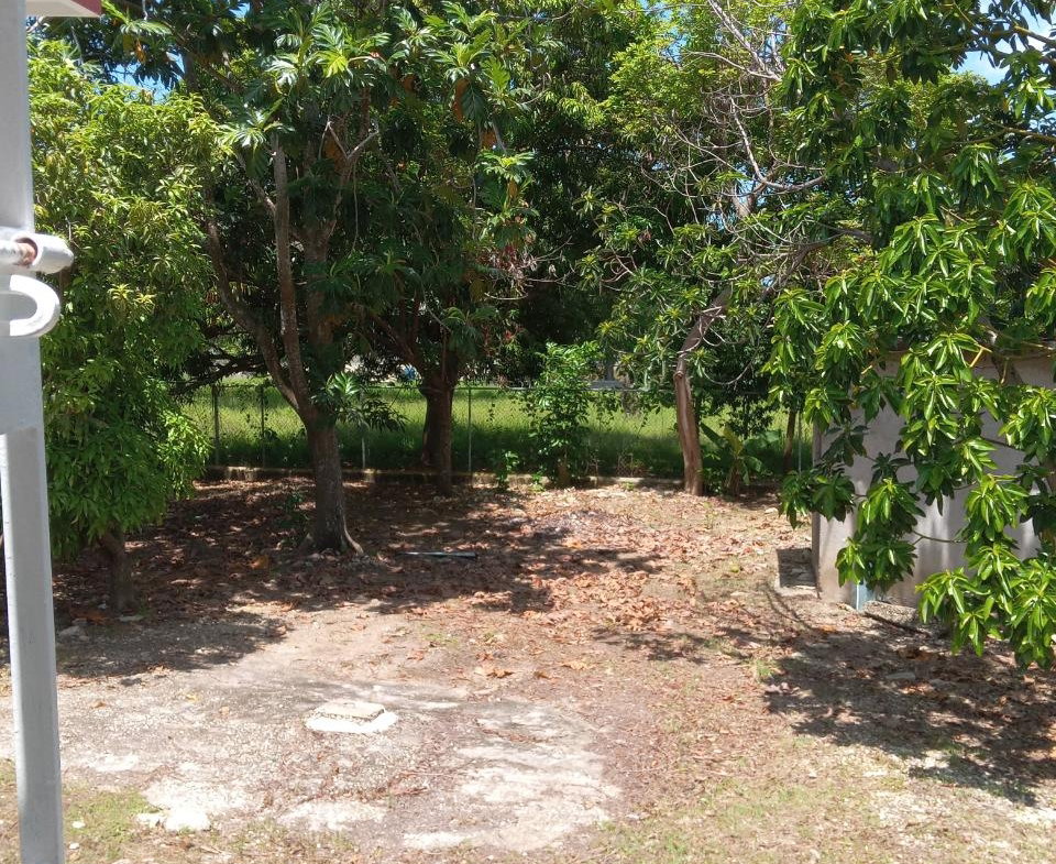 Twenty-Second image of 334 Walter Cheddesingh in Llandilo, Westmoreland, Jamaica - property is For Sale