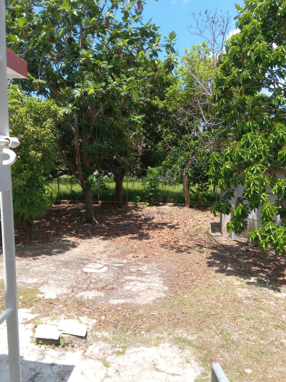 Twenty-Second image of 334 Walter Cheddesingh in Llandilo, Westmoreland, Jamaica - property is For Sale