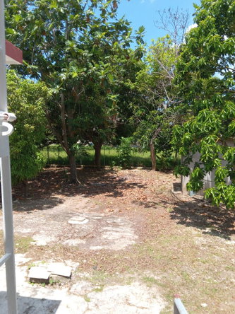 Twenty-Second image of 334 Walter Cheddesingh in Llandilo, Westmoreland, Jamaica - property is For Sale