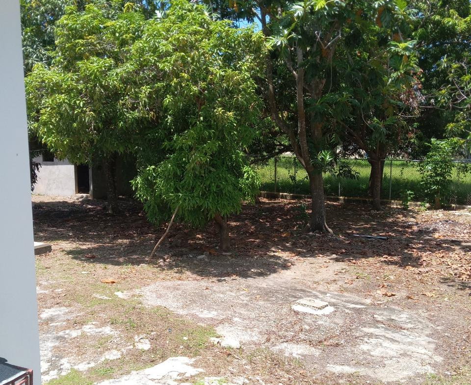 Twenty-Fourth image of 334 Walter Cheddesingh in Llandilo, Westmoreland, Jamaica - property is For Sale