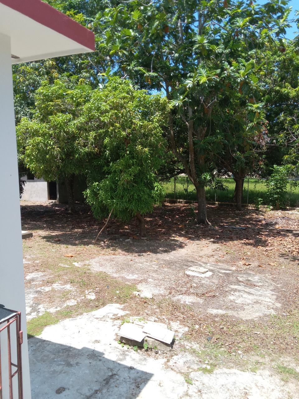 Twenty-Fourth image of 334 Walter Cheddesingh in Llandilo, Westmoreland, Jamaica - property is For Sale