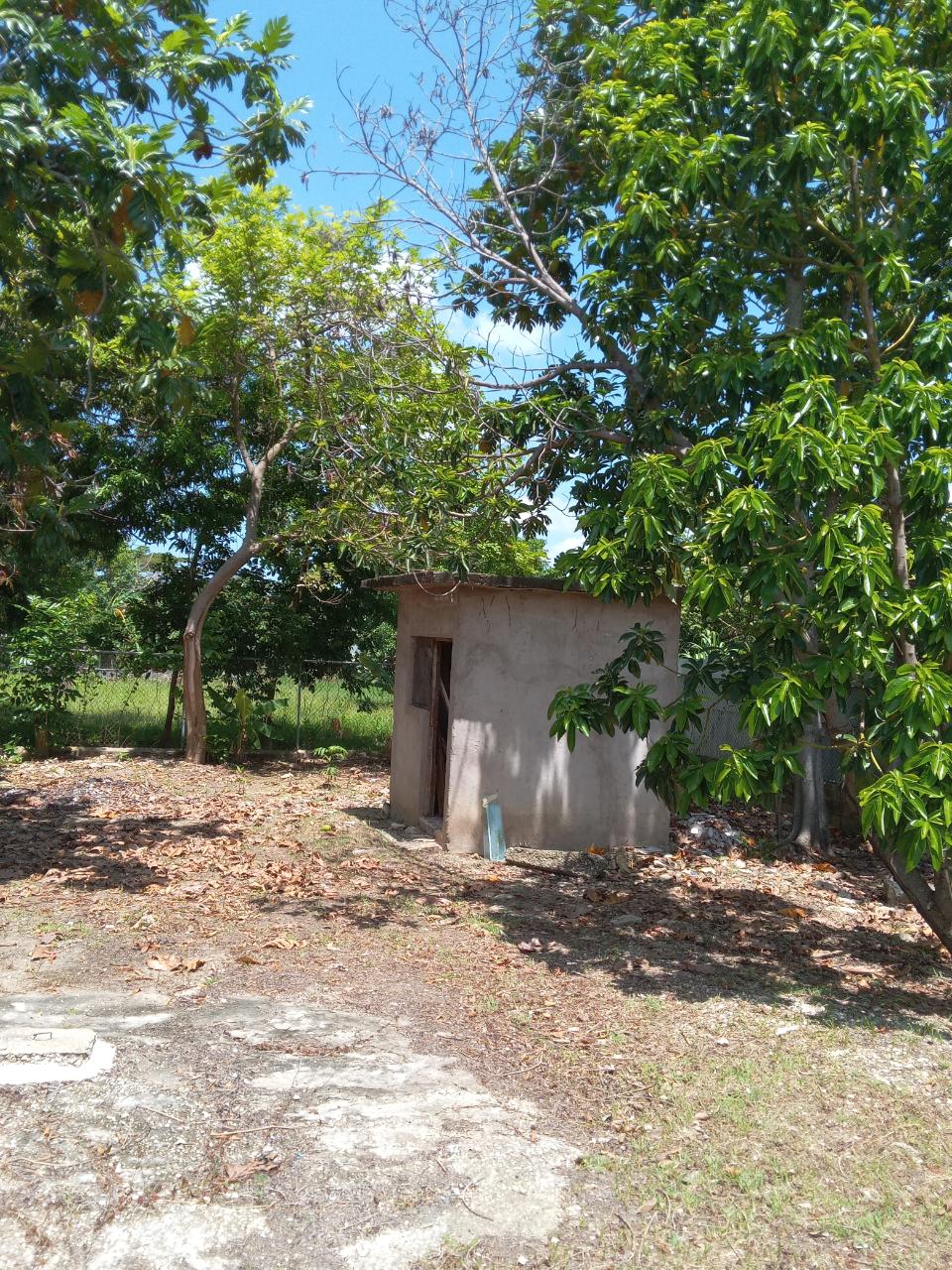 Twenty-Sixth image of 334 Walter Cheddesingh in Llandilo, Westmoreland, Jamaica - property is For Sale