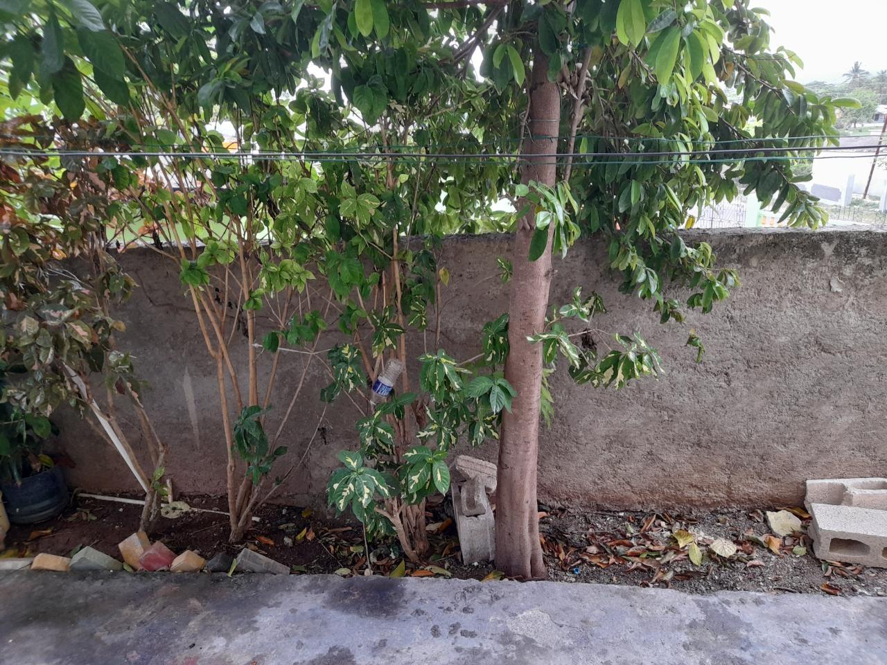 Twenty-Fifth image of 287 Claremont Heights in Old Harbour, St. Catherine, Jamaica - property is For Sale