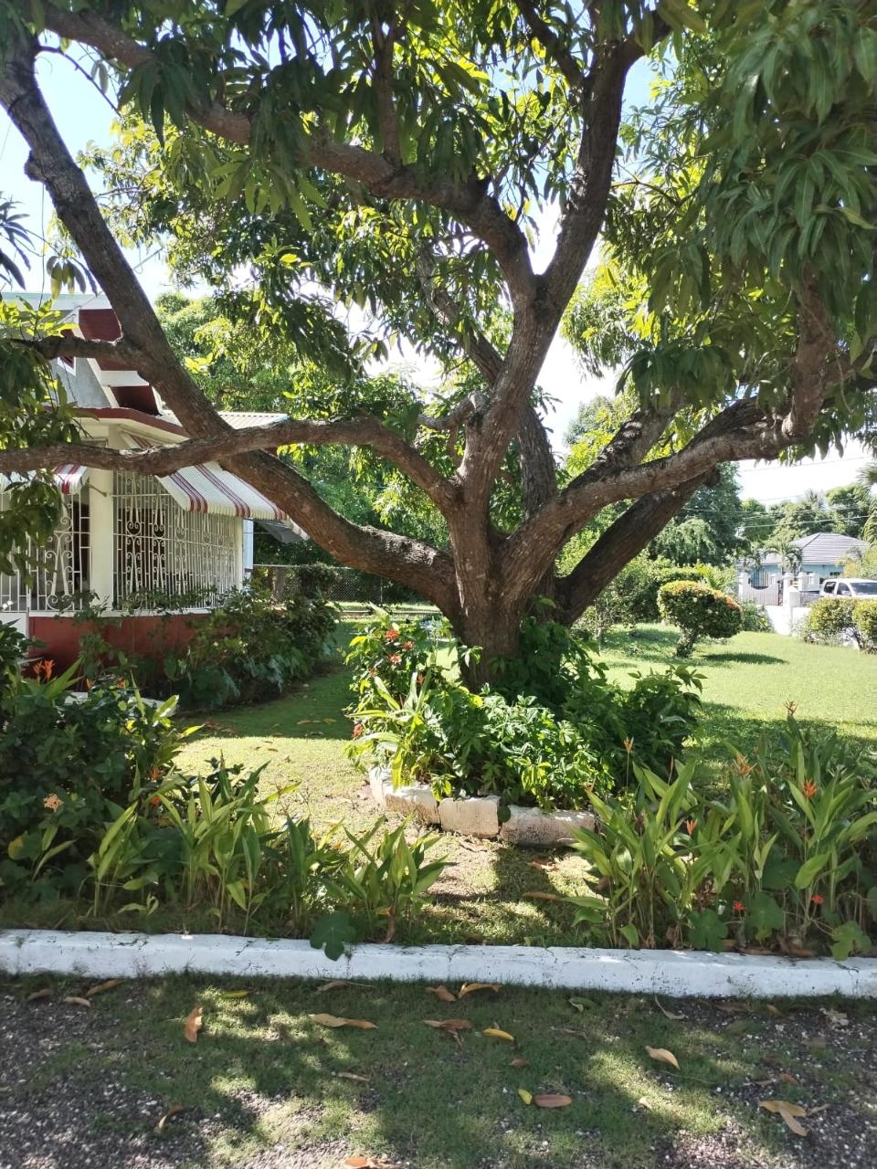 Fifth image of 89 Anderson Street, Denbigh, in May Pen, Clarendon, Jamaica - property is For Sale