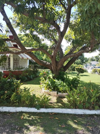 Fifth image of 89 Anderson Street, Denbigh, in May Pen, Clarendon, Jamaica - property is For Sale
