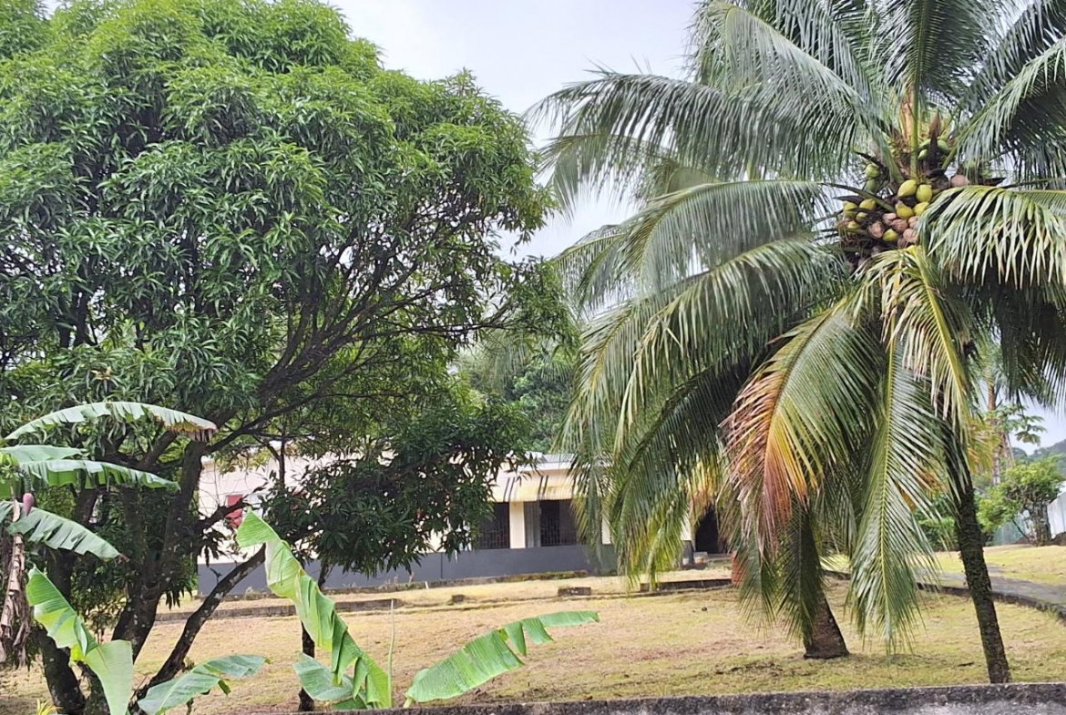 Thirteenth image of 9 Dolphin Bay in Port Antonio, Portland, Jamaica - property is For Sale