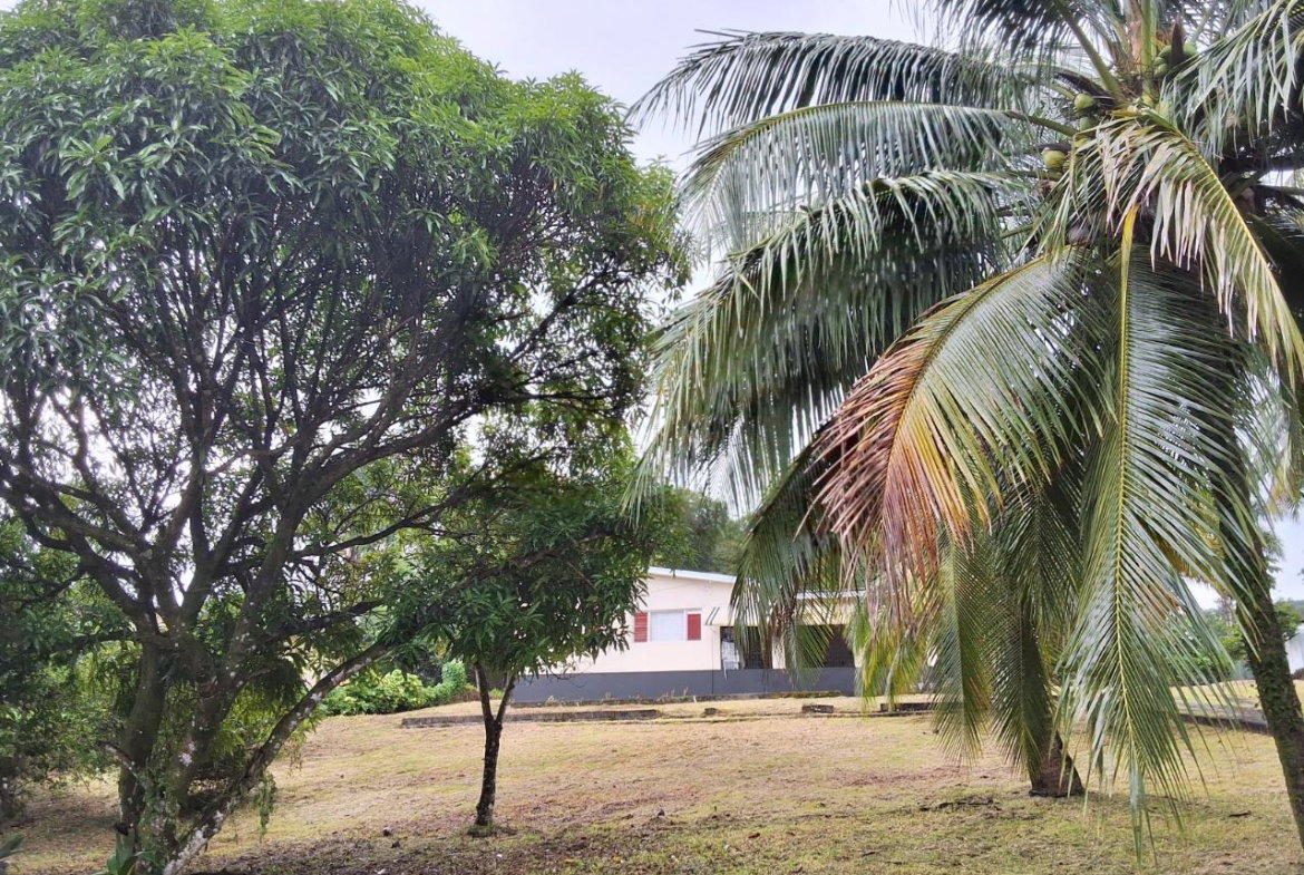 Fourth image of 9 Dolphin Bay in Port Antonio, Portland, Jamaica - property is For Sale