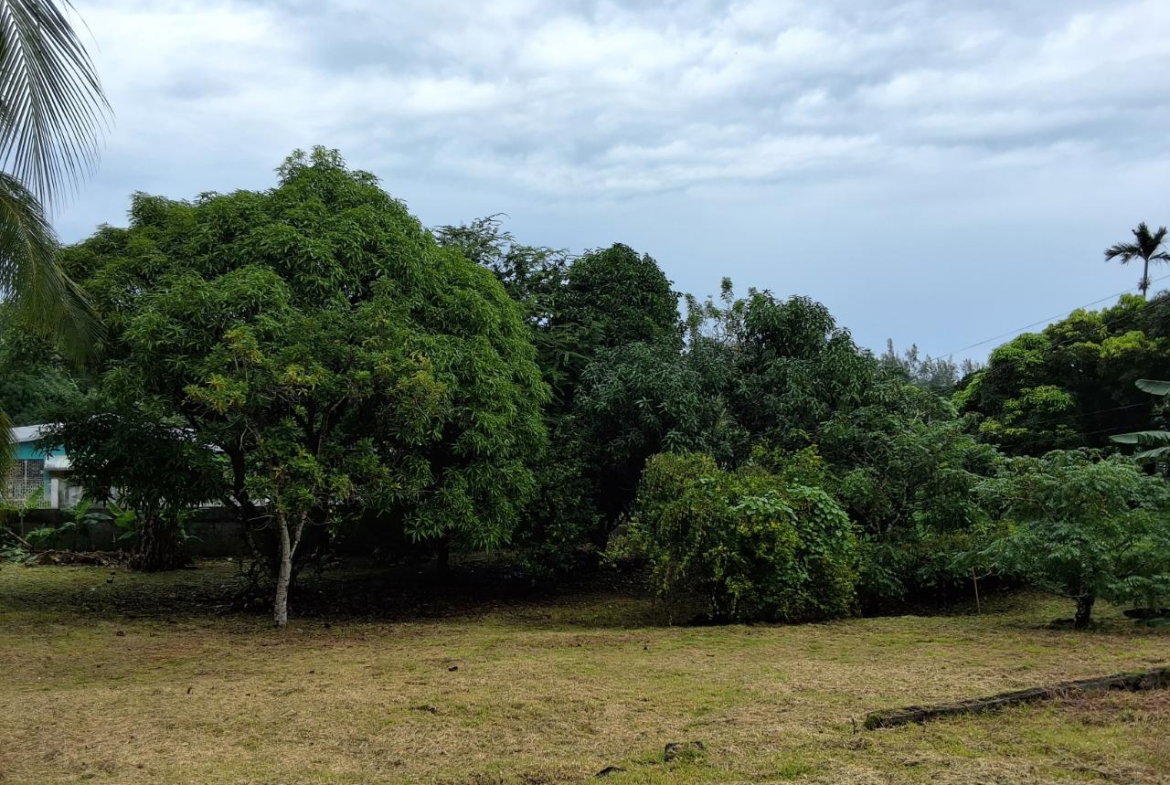 Fifth image of 9 Dolphin Bay in Port Antonio, Portland, Jamaica - property is For Sale