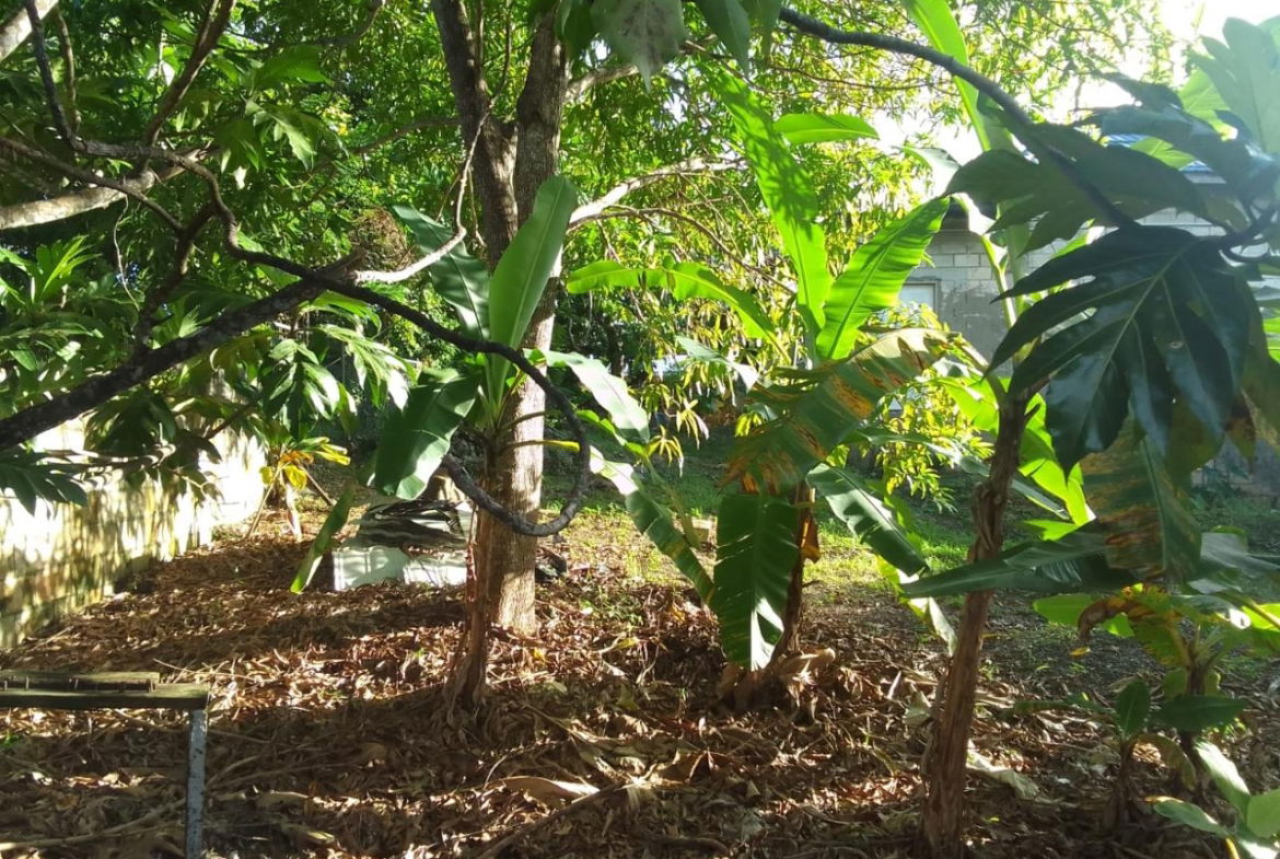 Fifth image of Lot 10 Fair Prospect Heights in Fair Prospect, Portland, Jamaica - property is For Sale