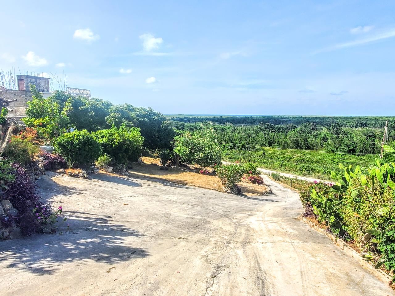 Eleventh image of 7b Holland Road in Falmouth, Trelawny, Jamaica - property is For Sale