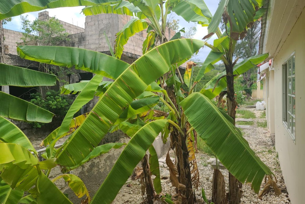 Thirteenth image of 74 Greenwood in Montego Bay, St. James, Jamaica - property is For Sale