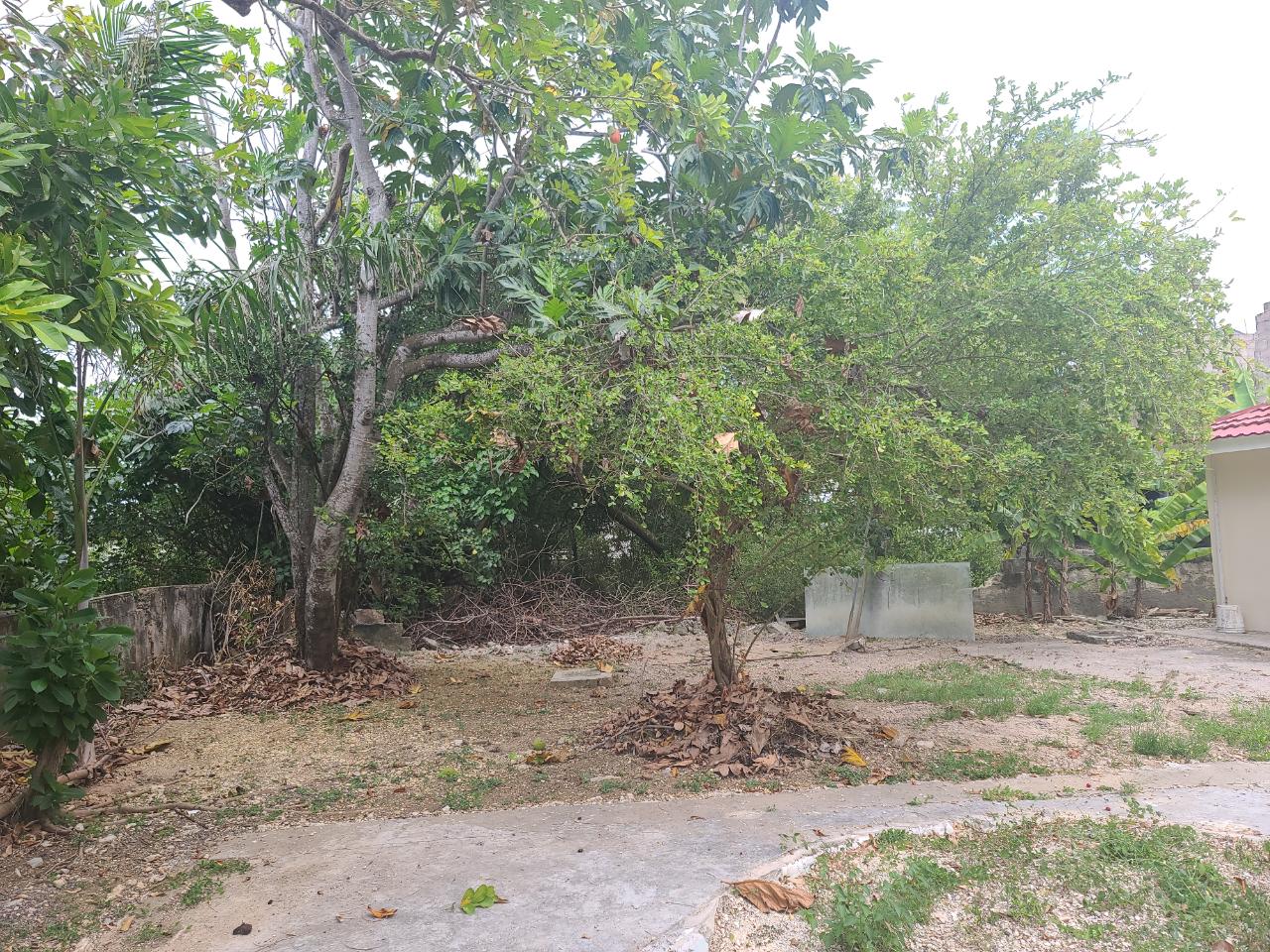 Fourteenth image of 74 Greenwood in Montego Bay, St. James, Jamaica - property is For Sale