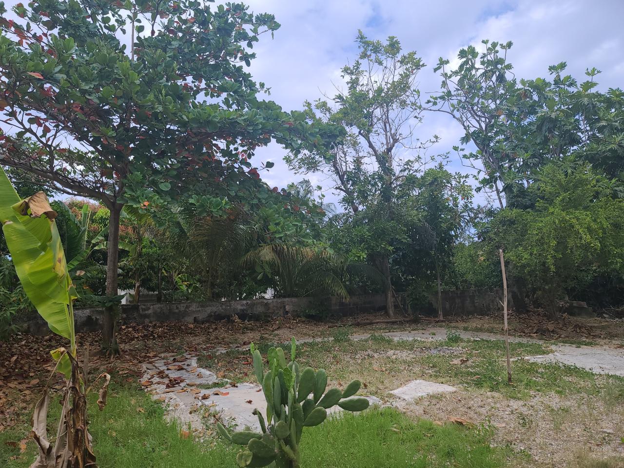 Sixteenth image of 74 Greenwood in Montego Bay, St. James, Jamaica - property is For Sale