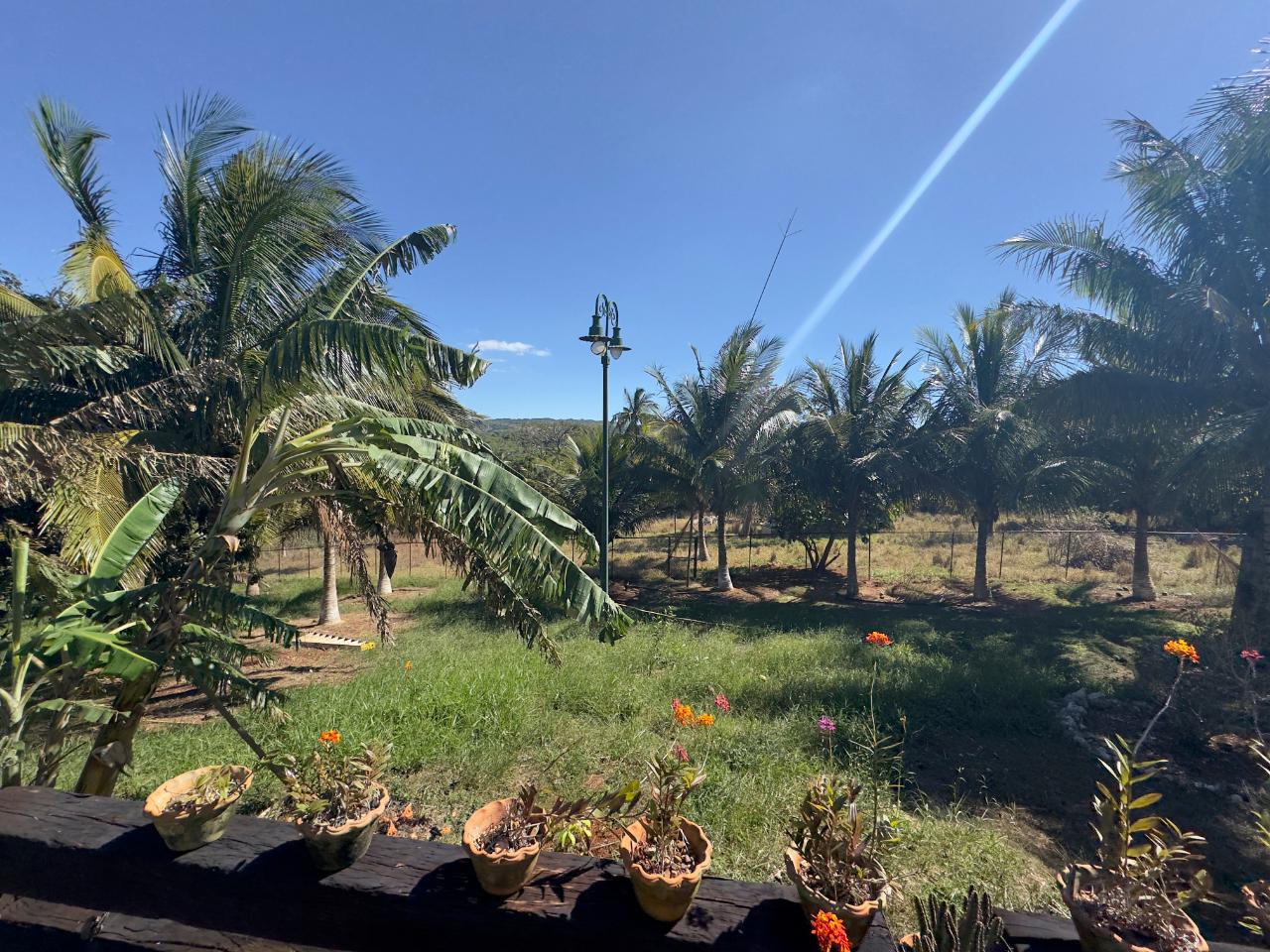 Twenty-Second image of St. Elizabeth in Malvern, St. Elizabeth, Jamaica - property is For Sale