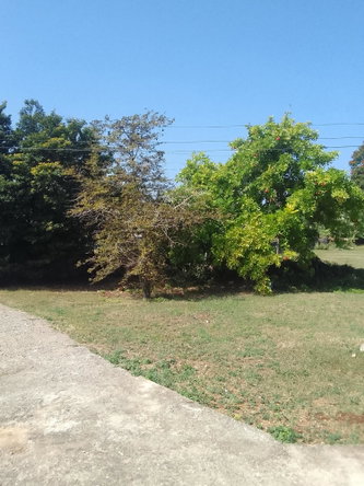 Sixth image of 12 Paul Anthony Close in Runaway Bay, St. Ann, Jamaica - property is For Sale