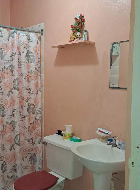Eighteenth image of 466 st Theresa's Way, Green a in Green Acres, St. Catherine, Jamaica - property is For Sale