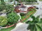 First image of 45 Irwindale, Irwin, Montego in Irwin, St. James, Jamaica - property is For Sale