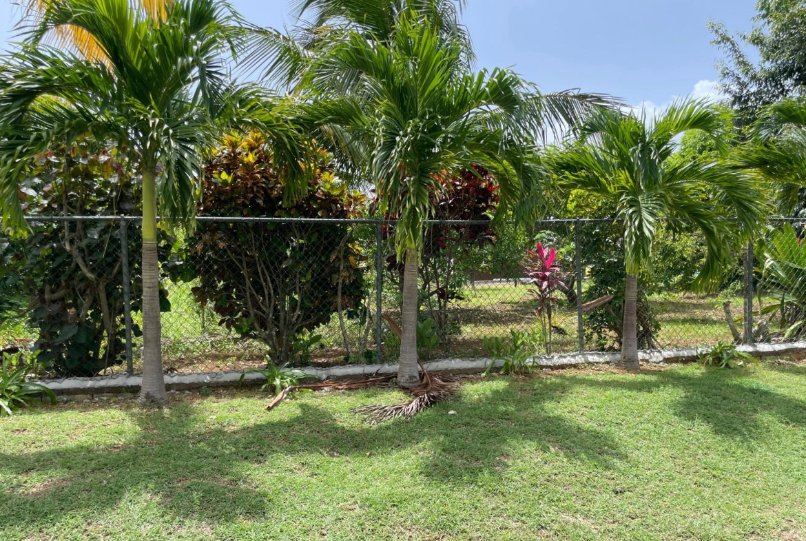 Third image of Pond Rd., Turners Dist. in Turners Four Paths, Clarendon, Jamaica - property is For Sale
