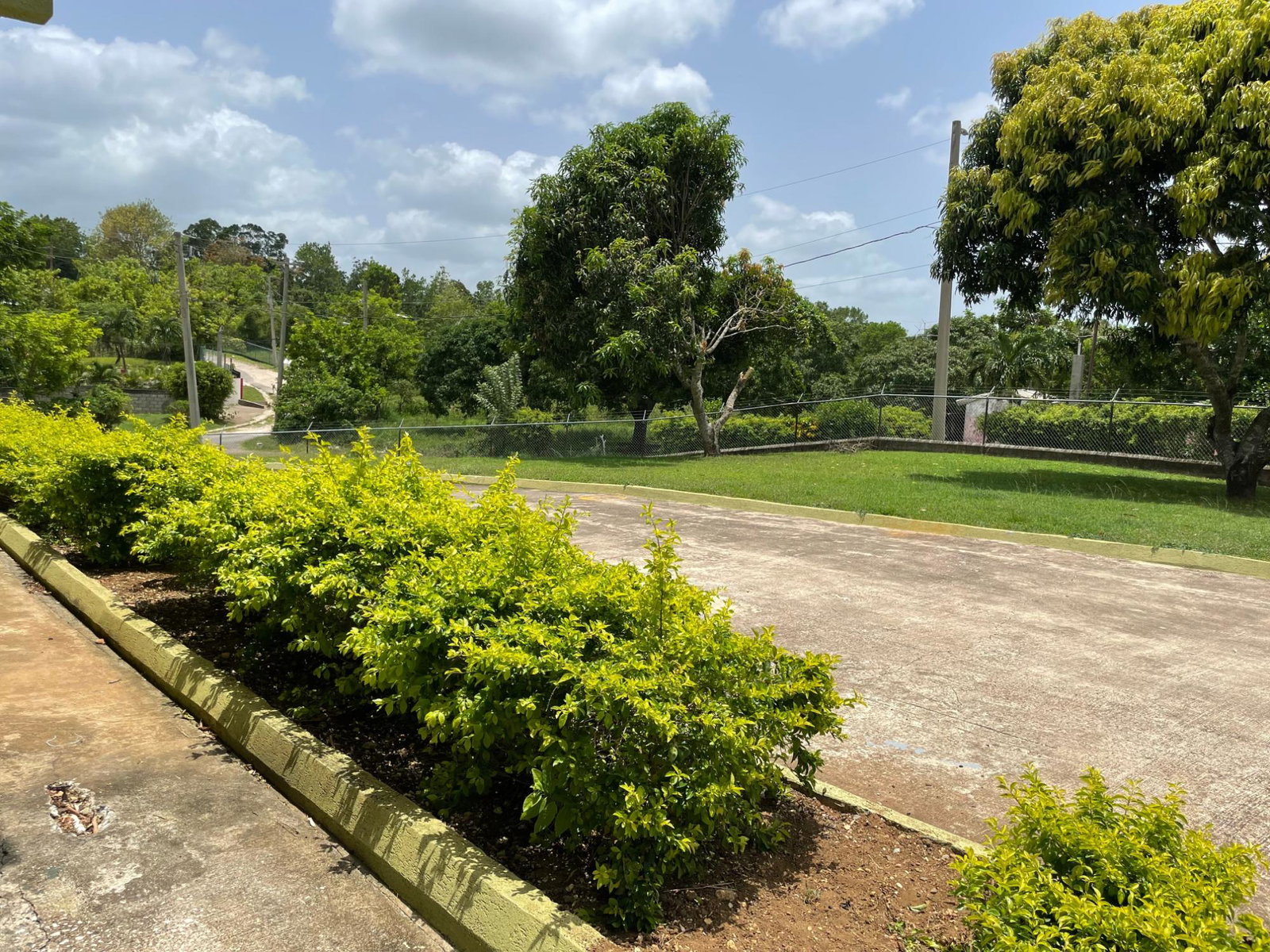 Fifth image of Pond Rd., Turners Dist. in Turners Four Paths, Clarendon, Jamaica - property is For Sale