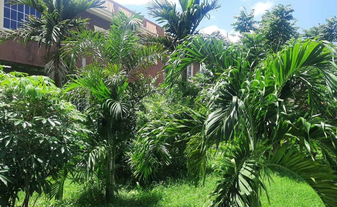Sixteenth image of 176 Flamingo Beach Circle Val in Falmouth, Trelawny, Jamaica - property is For Sale