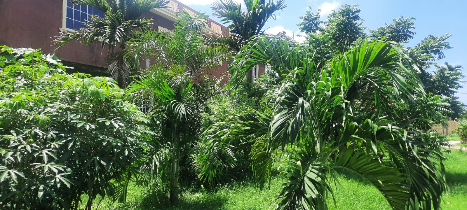 Stunning-5-Bedroom-Ocean-View-Home-for-Sale-in-Trelawny-Jamaica Sixteenth image of 176 Flamingo Beach Circle Val in Falmouth, Trelawny, Jamaica - property is For Sale