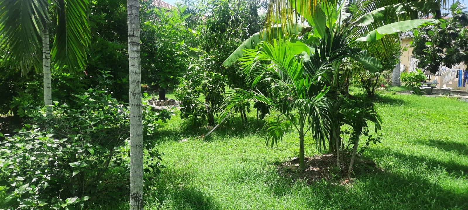 Stunning-5-Bedroom-Ocean-View-Home-for-Sale-in-Trelawny-Jamaica Twenty-First image of 176 Flamingo Beach Circle Val in Falmouth, Trelawny, Jamaica - property is For Sale