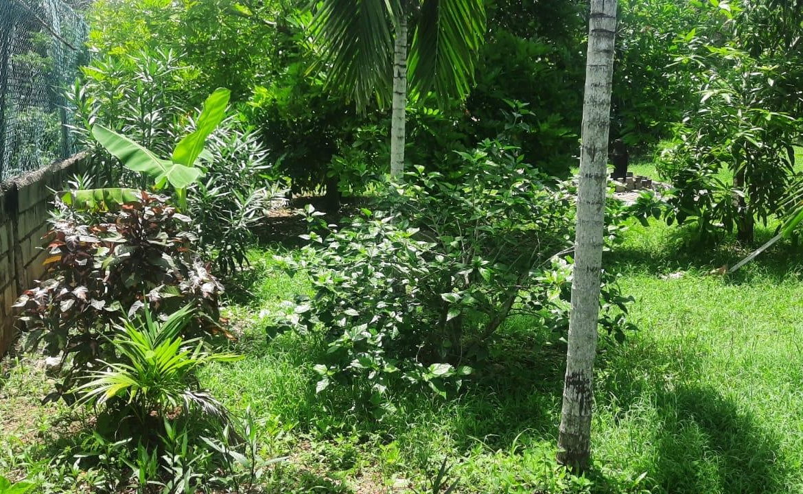 Twenty-Second image of 176 Flamingo Beach Circle Val in Falmouth, Trelawny, Jamaica - property is For Sale