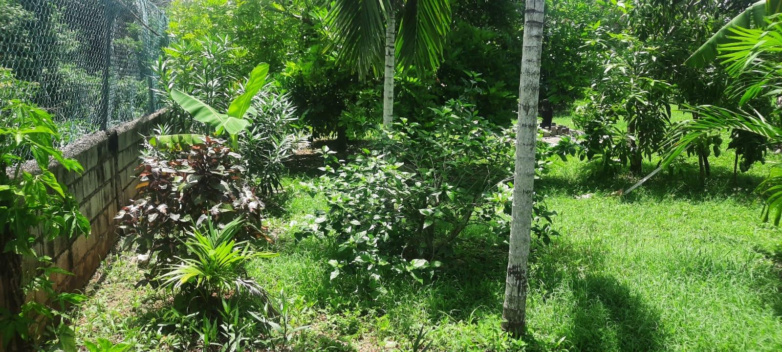 Stunning-5-Bedroom-Ocean-View-Home-for-Sale-in-Trelawny-Jamaica Twenty-Second image of 176 Flamingo Beach Circle Val in Falmouth, Trelawny, Jamaica - property is For Sale