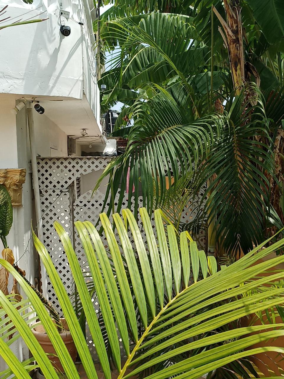 Twenty-First image of 862 West Cumberland in Greater Portmore, St. Catherine, Jamaica - property is For Sale