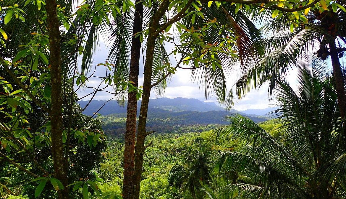 Eighth image of Caenwood, Hope Bay, Portl in Hope Bay, Portland, Jamaica - property is For Sale