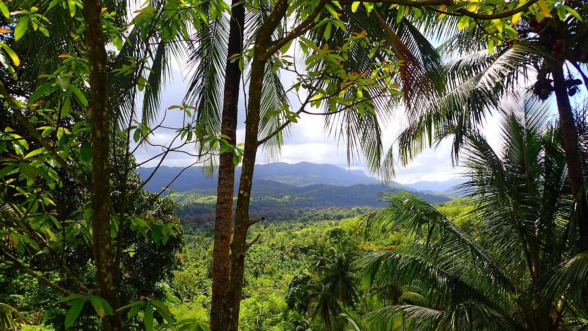 Eighth image of Caenwood, Hope Bay, Portl in Hope Bay, Portland, Jamaica - property is For Sale