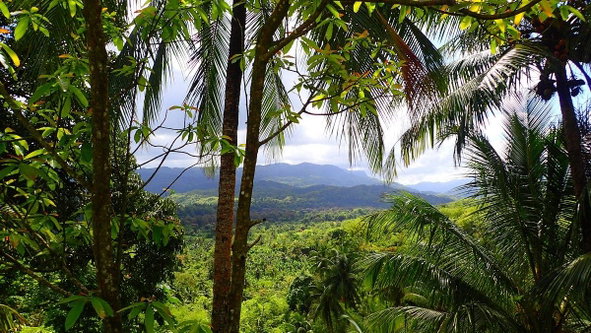 Eighth image of Caenwood, Hope Bay, Portl in Hope Bay, Portland, Jamaica - property is For Sale