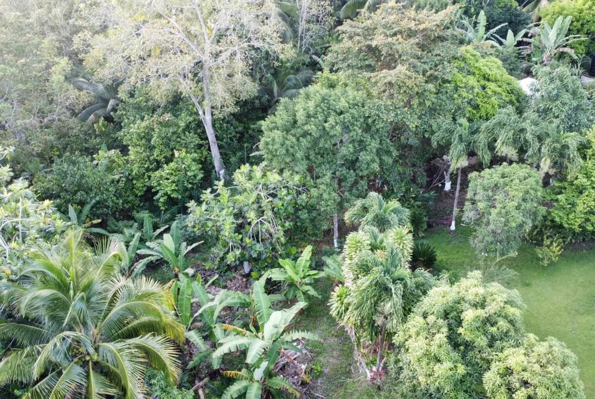 Seventh image of 6 Lyndale in Highgate, St. Mary, Jamaica - property is For Sale