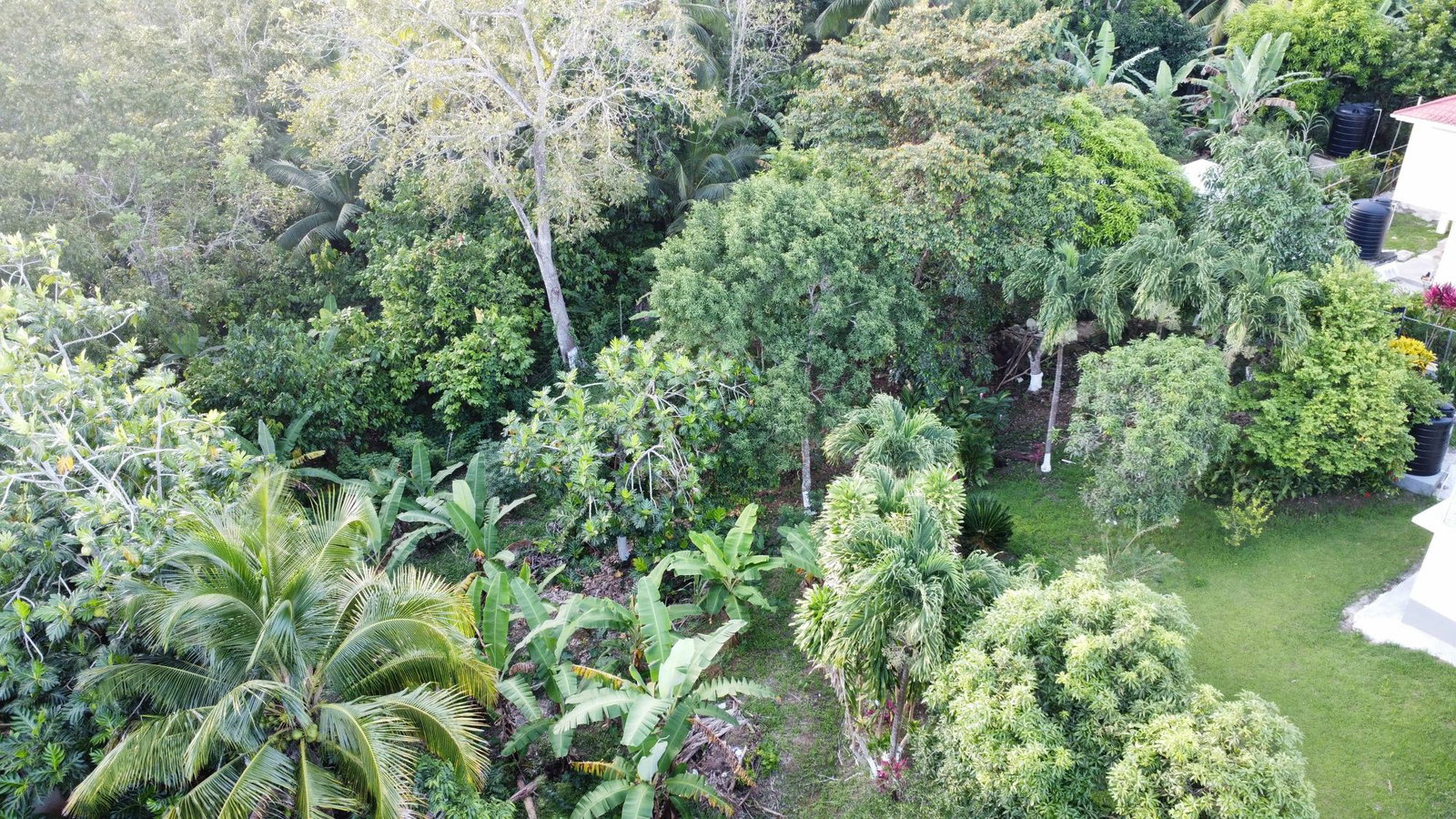 Stunning-5-Bedroom-Split-Level-Home-for-Sale-in-St.-Mary-Jamaica Seventh image of 6 Lyndale in Highgate, St. Mary, Jamaica - property is For Sale