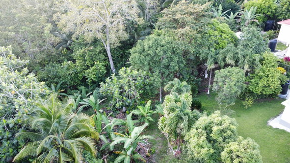 Seventh image of 6 Lyndale in Highgate, St. Mary, Jamaica - property is For Sale