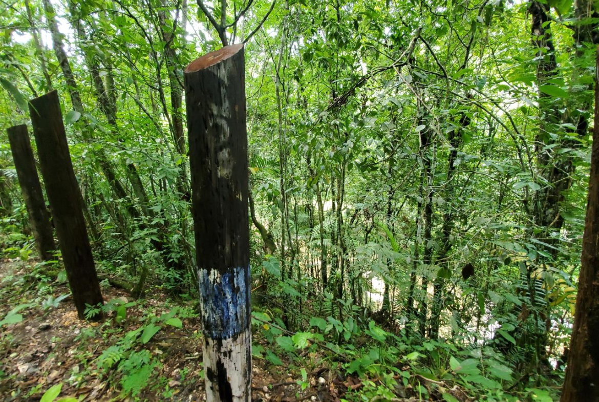 Second image of 1 Industry Pen in St. Mary Country Club, St. Mary, Jamaica - property is For Sale