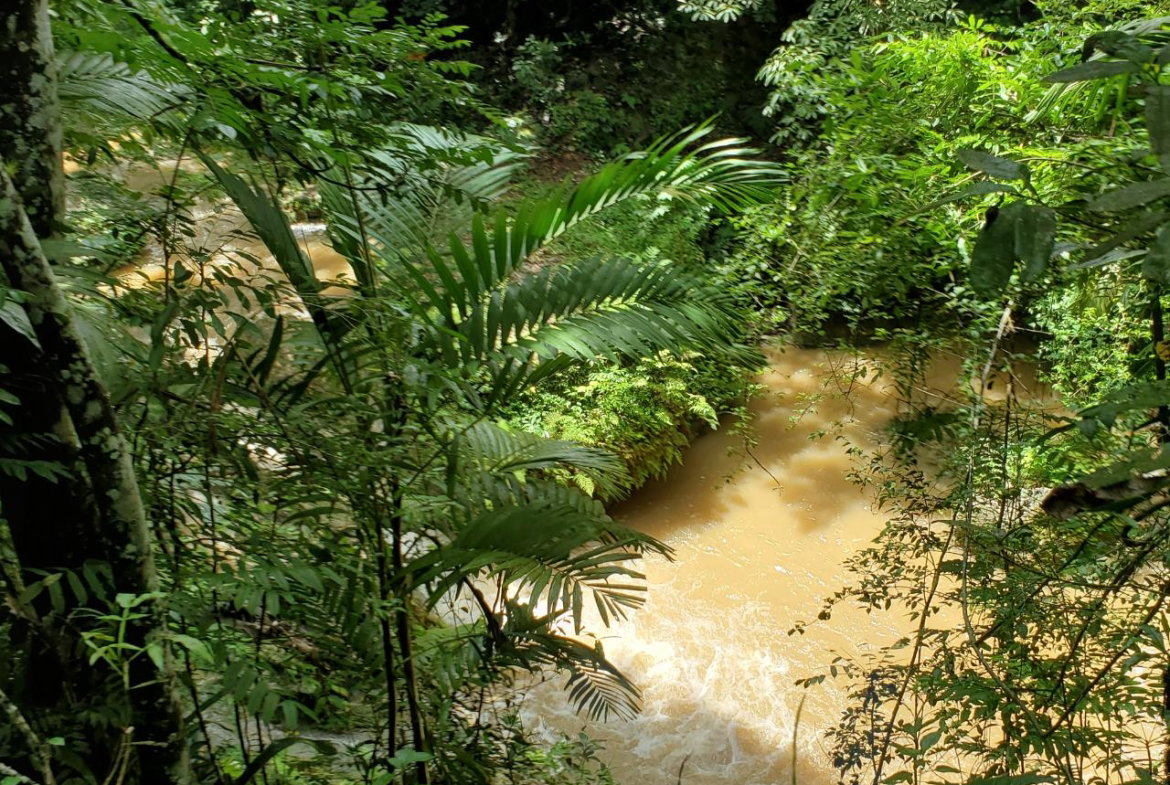 Eleventh image of 1 Industry Pen in St. Mary Country Club, St. Mary, Jamaica - property is For Sale