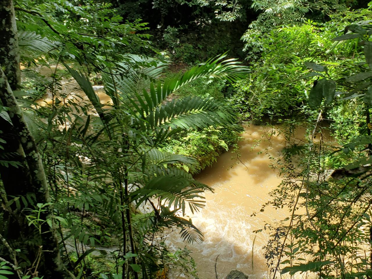 Stunning-50-Acre-Caribbean-Retreat-with-River-House-for-Sale Eleventh image of 1 Industry Pen in St. Mary Country Club, St. Mary, Jamaica - property is For Sale