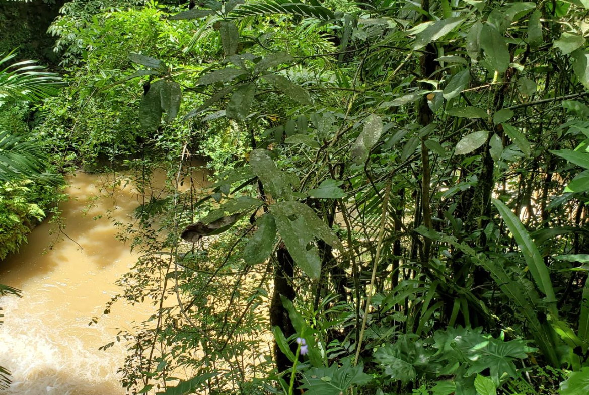 Twelfth image of 1 Industry Pen in St. Mary Country Club, St. Mary, Jamaica - property is For Sale