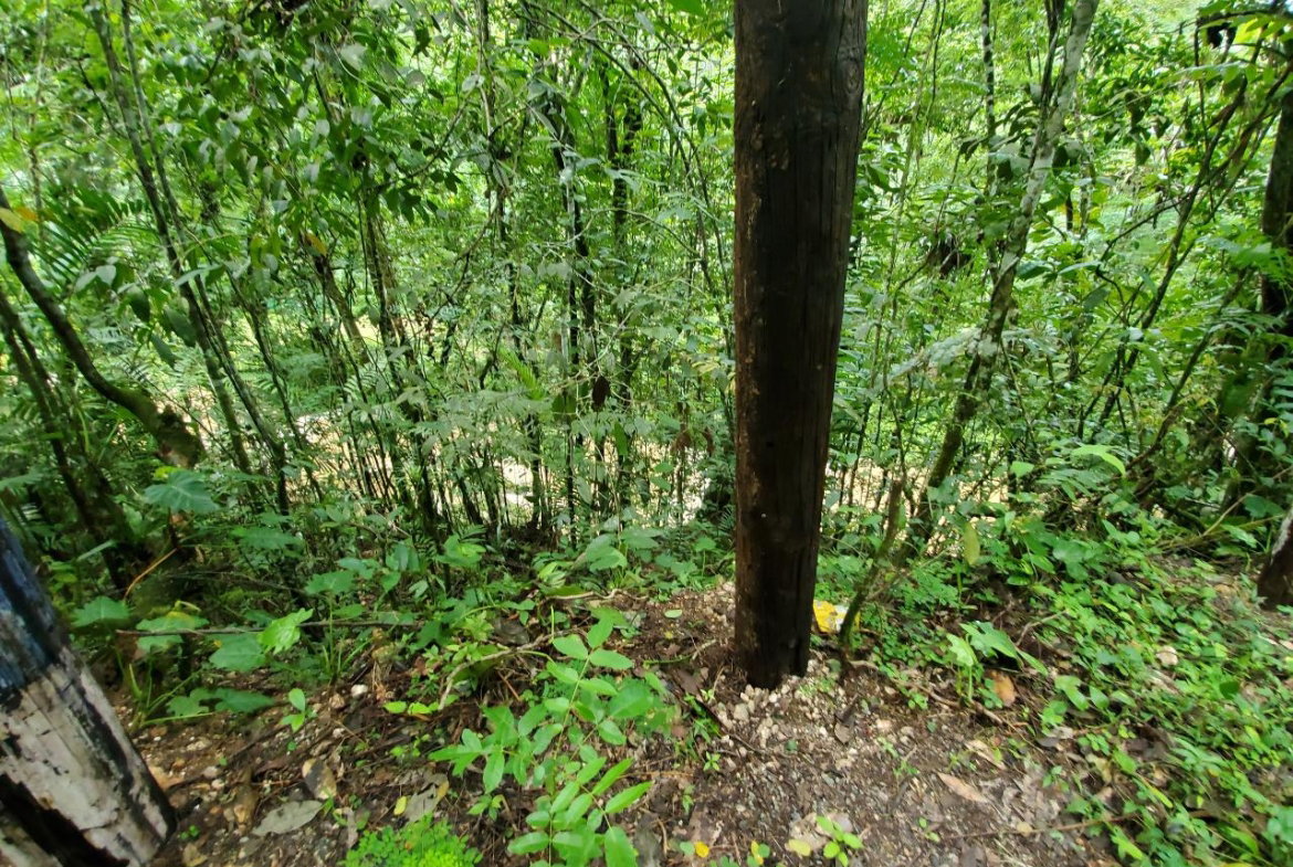 First image of 1 Industry Pen in St. Mary Country Club, St. Mary, Jamaica - property is For Sale