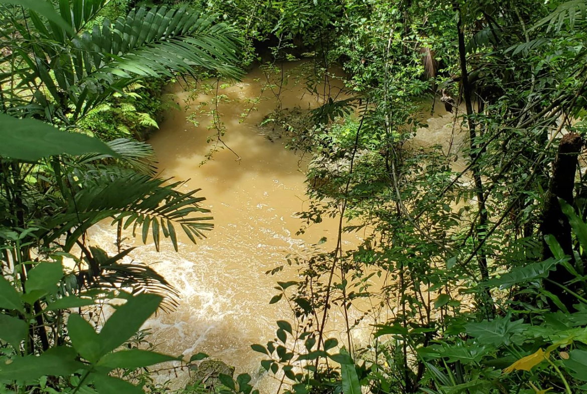 Thirteenth image of 1 Industry Pen in St. Mary Country Club, St. Mary, Jamaica - property is For Sale