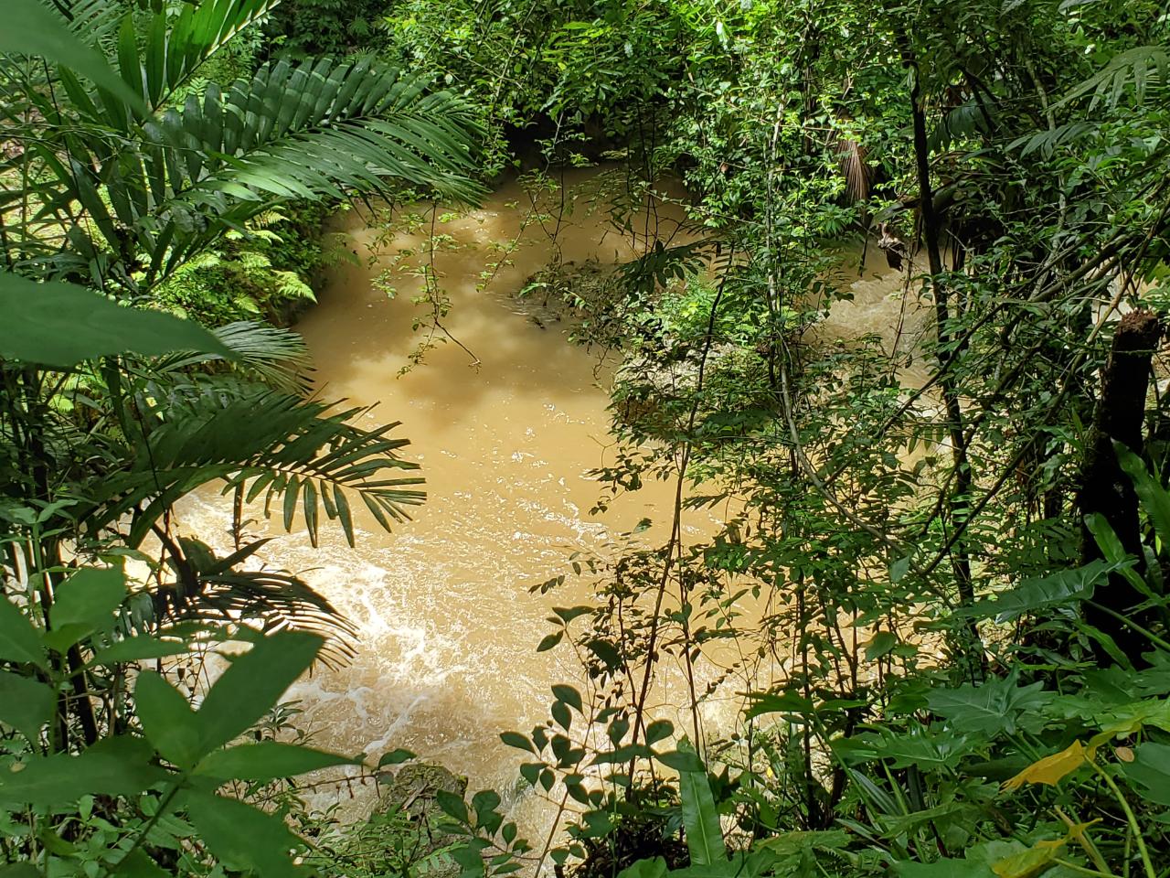 Stunning-50-Acre-Caribbean-Retreat-with-River-House-for-Sale Thirteenth image of 1 Industry Pen in St. Mary Country Club, St. Mary, Jamaica - property is For Sale