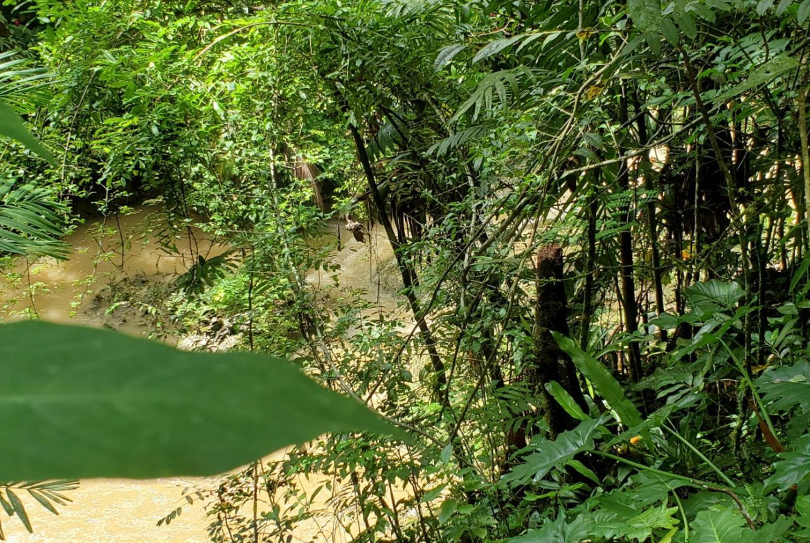Fourteenth image of 1 Industry Pen in St. Mary Country Club, St. Mary, Jamaica - property is For Sale