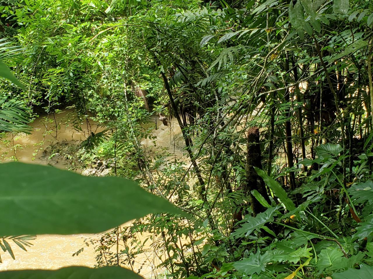 Stunning-50-Acre-Caribbean-Retreat-with-River-House-for-Sale Fourteenth image of 1 Industry Pen in St. Mary Country Club, St. Mary, Jamaica - property is For Sale