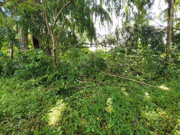 Fifteenth image of 1 Industry Pen in St. Mary Country Club, St. Mary, Jamaica - property is For Sale