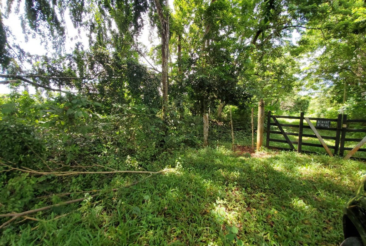 Sixteenth image of 1 Industry Pen in St. Mary Country Club, St. Mary, Jamaica - property is For Sale