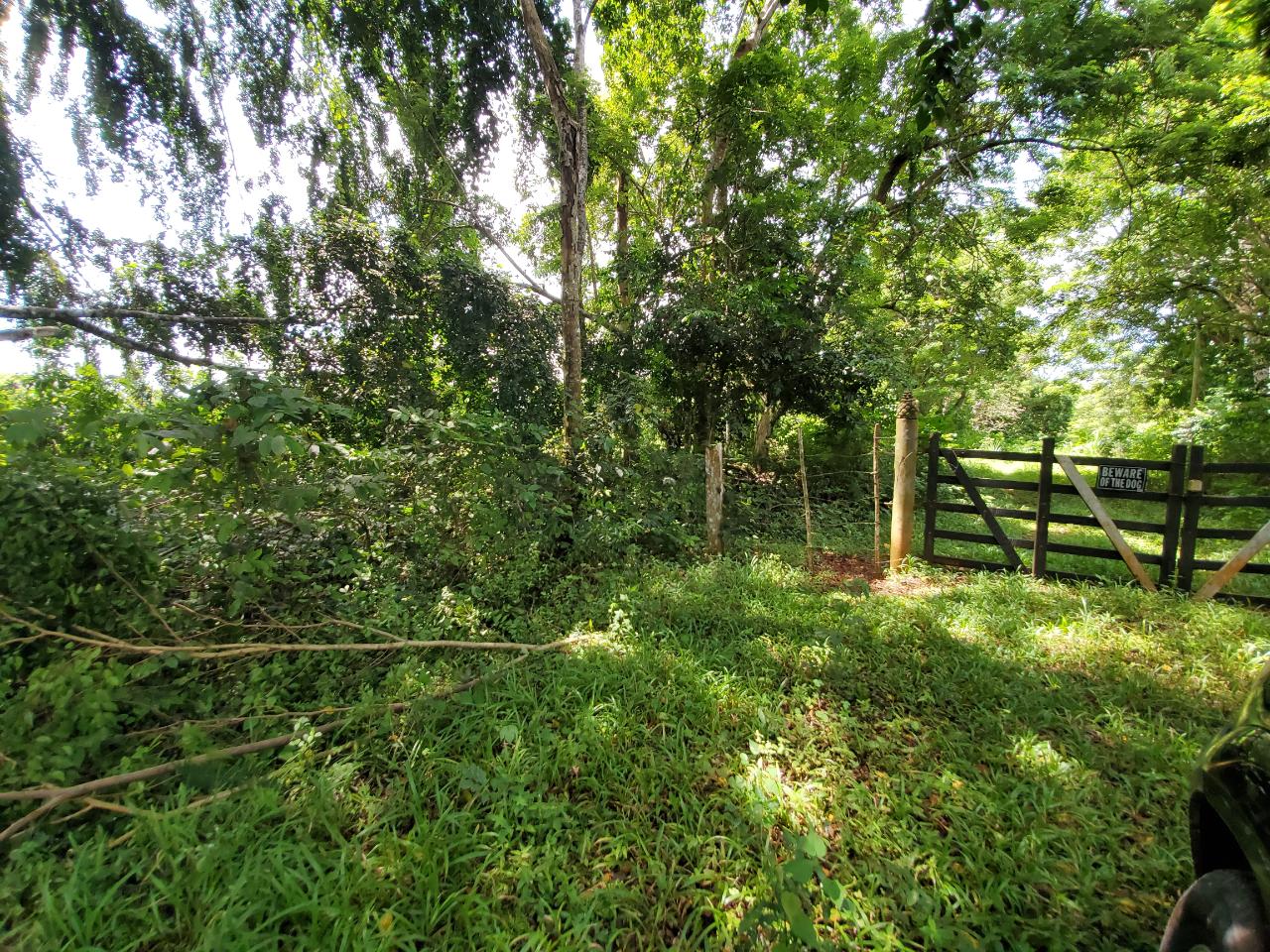 Stunning-50-Acre-Caribbean-Retreat-with-River-House-for-Sale Sixteenth image of 1 Industry Pen in St. Mary Country Club, St. Mary, Jamaica - property is For Sale
