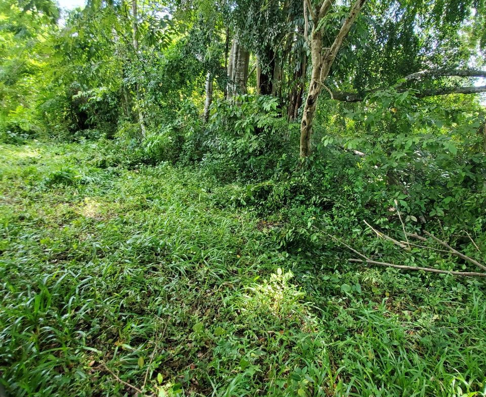 Seventeenth image of 1 Industry Pen in St. Mary Country Club, St. Mary, Jamaica - property is For Sale