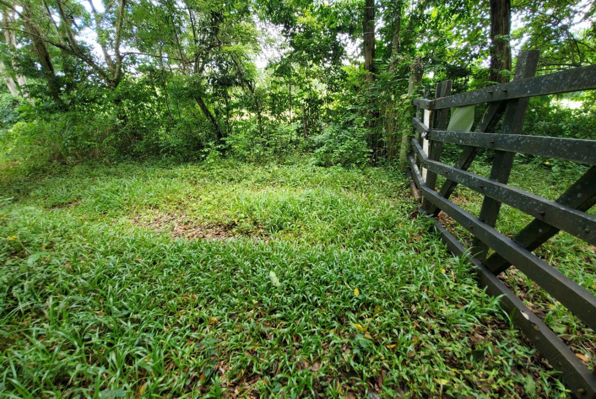 Eighteenth image of 1 Industry Pen in St. Mary Country Club, St. Mary, Jamaica - property is For Sale